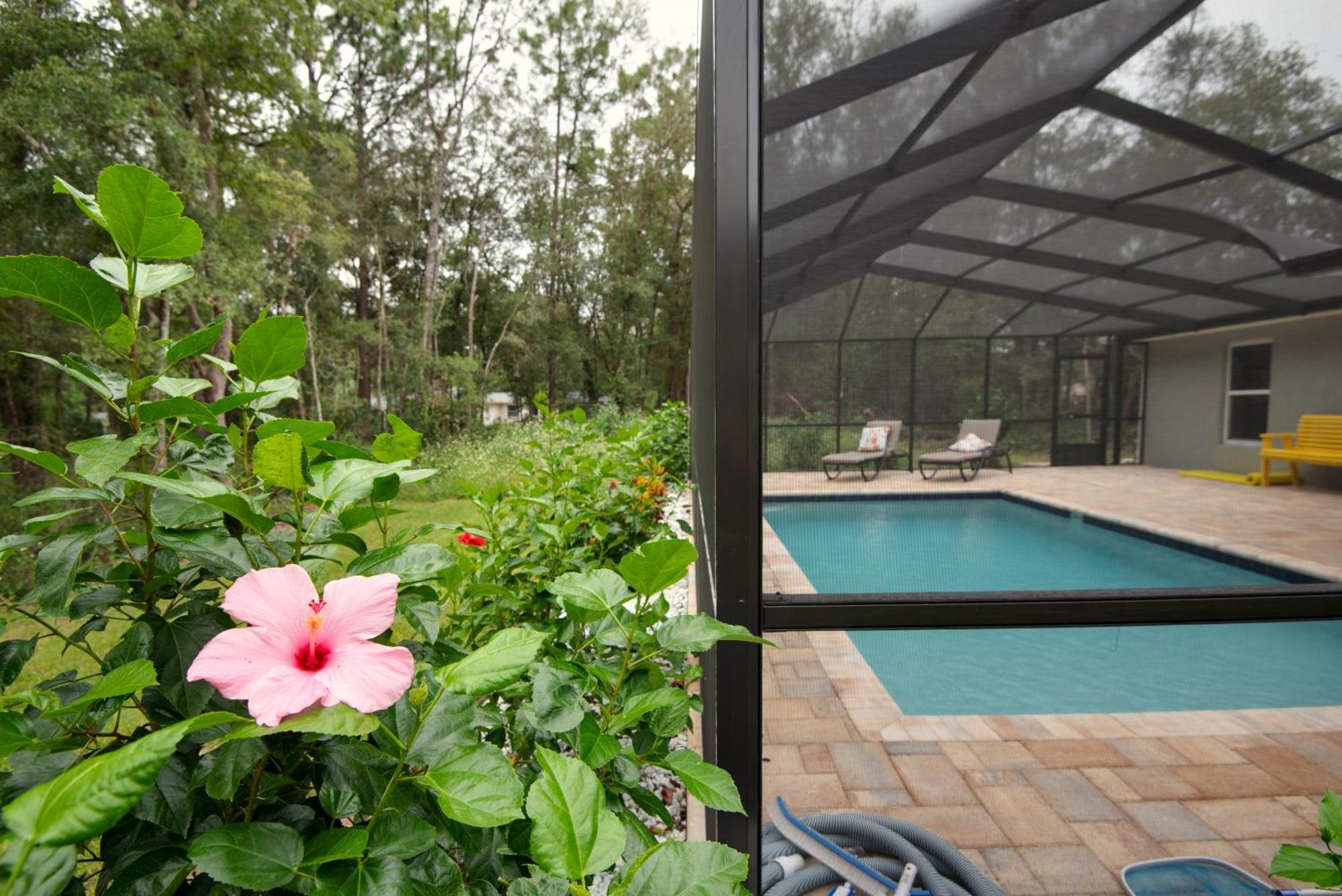 Pet-Friendly, Heated Pool, Close To Everything 3 Bedroom Home Dunnellon Ngoại thất bức ảnh